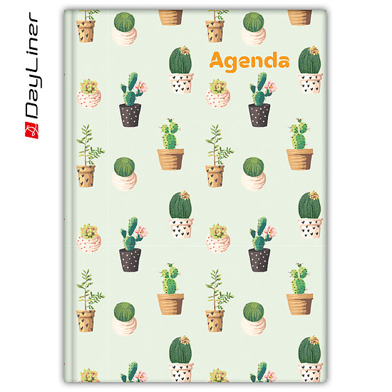 Dayliner agenda Colors A5 heti Cactus 2025