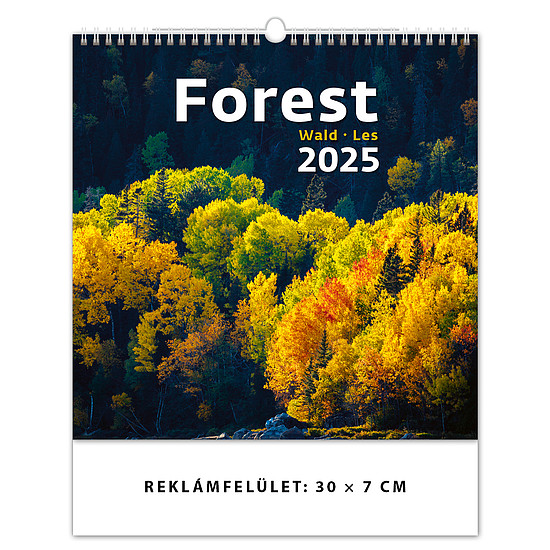 Dayliner falinaptár Forest 2025