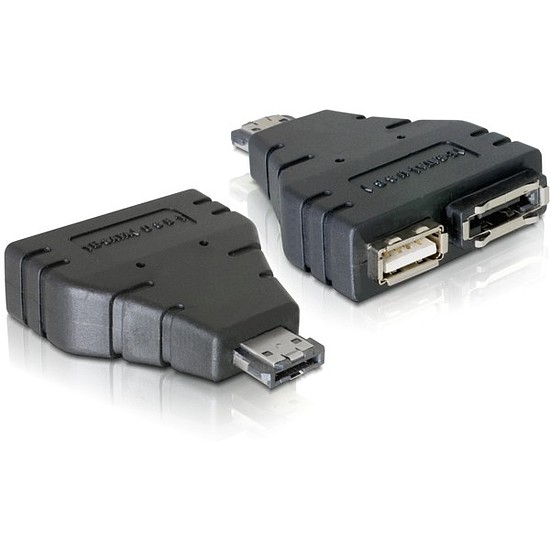 Delock Adapter Power-over-eSATA > 1x eSATA and 1x USB (65119)