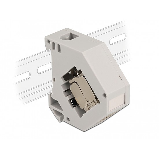 Delock DIN sín adapter Keystone modullal RJ45 anya Cat.6A LSA (86014)