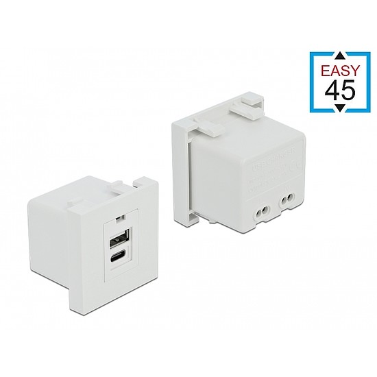 Delock Easy 45 USB töltő port modul 1 x A-típusú és 1 x USB Type-C csatlakozó felülettel (81313)