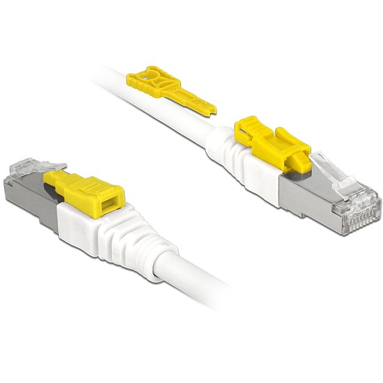 Delock Kábel 0,5 m-es RJ45 Secure csatlakozós Cat.6A (85330)