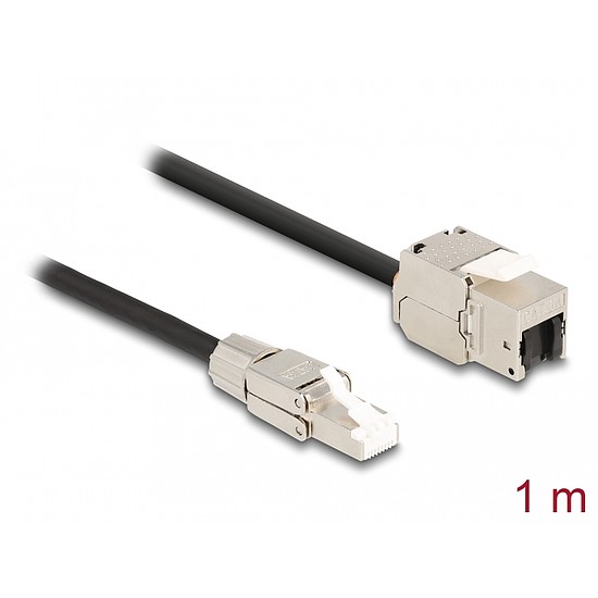 Delock Kábel RJ45 dugasz terepen szerelhető Keystone Modul RJ45 aljzathoz Cat.6A 1 m (87206)