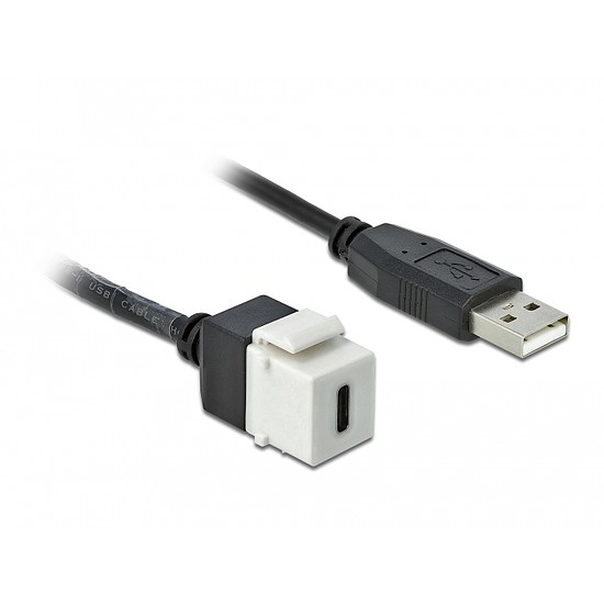 Delock Keystone modul, USB 2.0 C-csatlakozóhüvely > USB 2.0 A-csatlakozódugó, kábellel (86382)