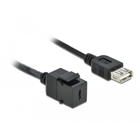 Delock Keystone modul, USB 2.0 C-csatlakozóhüvely > USB 2.0 A-csatlakozóhüvely, kábellel (86384)