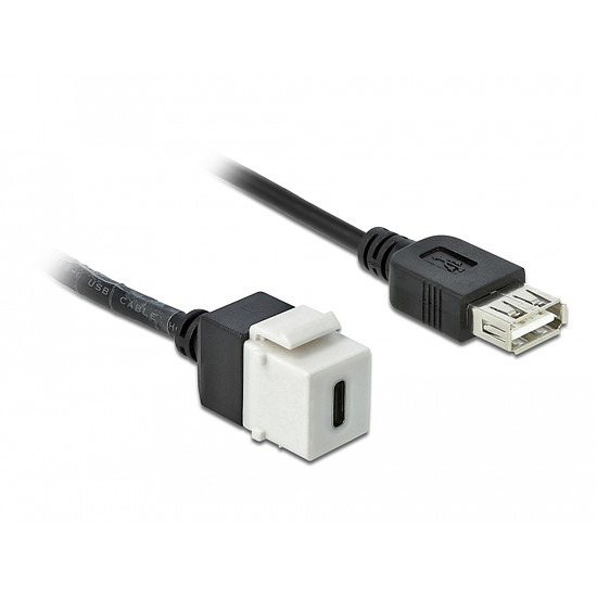 Delock Keystone modul, USB 2.0 C-csatlakozóhüvely > USB 2.0 A-csatlakozóhüvely, kábellel (86391)