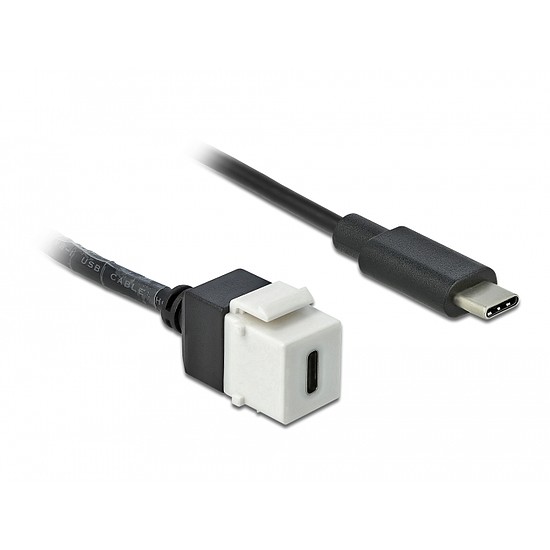 Delock Keystone modul, USB 3.0 C-csatlakozóhüvely > USB 3.0 C-csatlakozódugó, kábellel (86399)