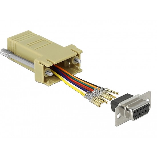 Delock Szürke Sub-D 9-tűs anya RJ45 anya összekötő adapter (66164)