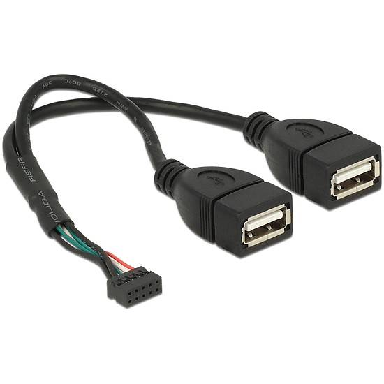 Delock USB 2.0-s csatlakozóhüvellyel ellátott kábel, 2,00 mm, 10 tus > 2 x USB 2.0 A-típusú csatlako (84933)