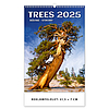 Dayliner falinaptár Trees 2025