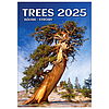 Dayliner falinaptár Trees 2025