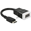 Delock Adapter HDMI-mini C dugó > VGA hüvely audióval (65588)