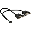 Delock Cable USB 2.0 pin header female 2.00 mm 10 pin > 2 x USB 2.0 Type-A female panel-mount 25 cm (84832)