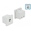 Delock Easy 45 USB töltő port modul 1 x A-típusú és 1 x USB Type-C csatlakozó felülettel (81313)