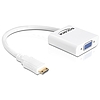 Delock HDMI-mini C adapter, apa > VGA anya (65348)