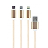 Gembird CC-USB2-AM31-1M-G USB 3-in-1 Charging cable 1m Gold