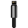 USB-kábel a Lightning Baseus Tungsten Gold-hoz, 2,4A, 1 m, fekete (CALWJ-01)