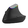 Vezeték nélküli függőleges egér Delux M618C 2.4G 1600DPI RGB, fekete (M618C Black)